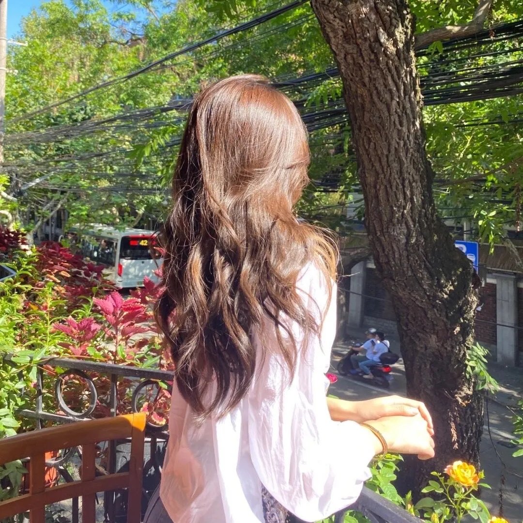 羊妈妈与狮子