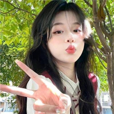 法网追凶第二季